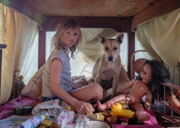 Beneath the Bush: Childhood, War, and the Unfolding of Racial Consciousness in Don’t Let’s Go to the Dogs Tonight