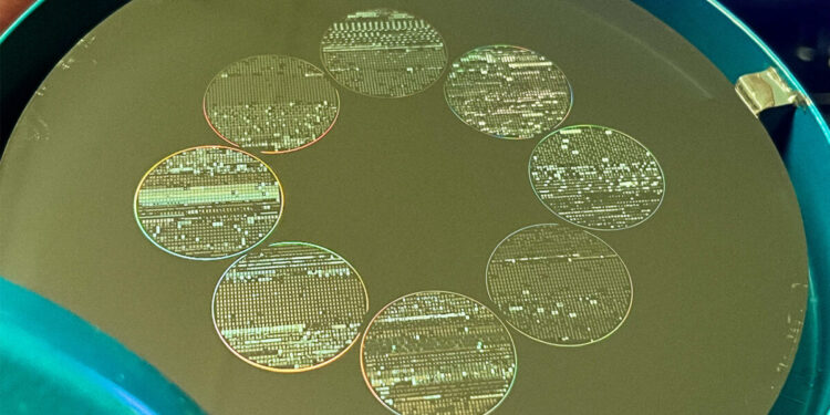 The Rise of Extinctionism: Conspiracy Theories and the Importance of Optimism for the Future