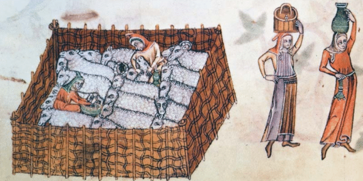 The Role of Women in Medieval Warfare: Unsung Heroes.