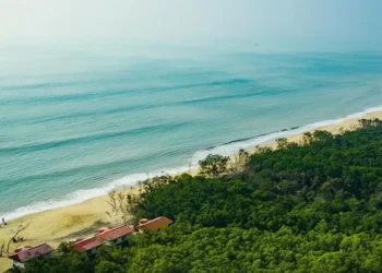 Credits: localdrive.in