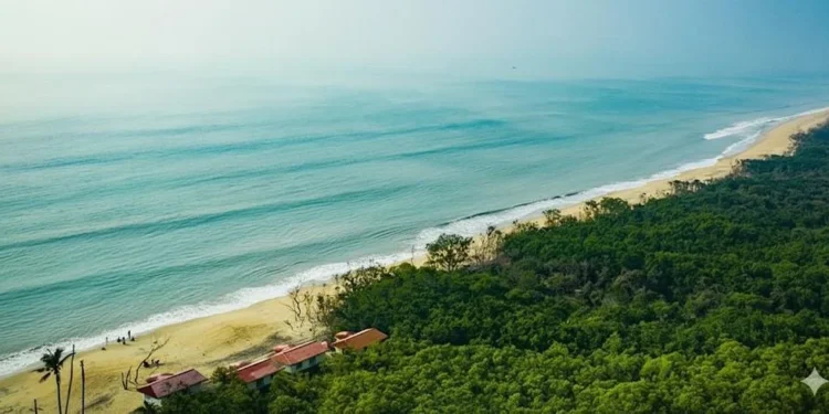 Credits: localdrive.in