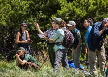 Credits: National Park Service