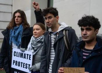 Credits: Google Images