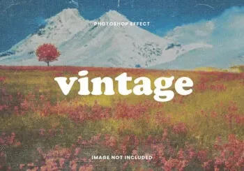 Credits: Google Images